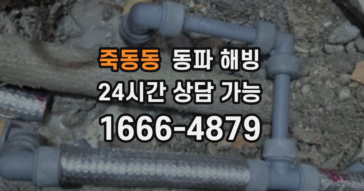 죽동동 동파 해빙