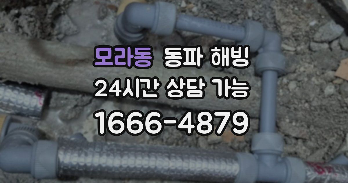 모라동 동파 해빙