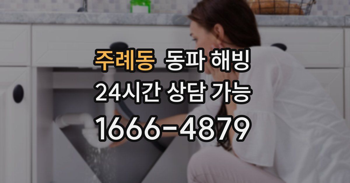 주례동 동파 해빙
