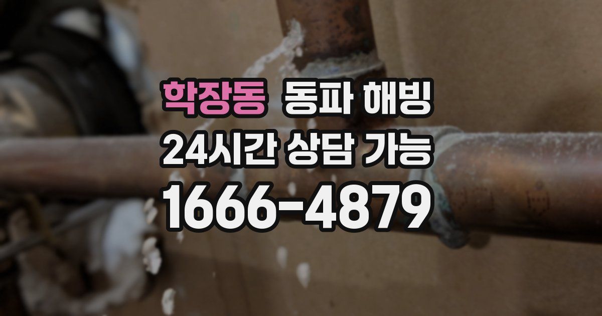 학장동 동파 해빙