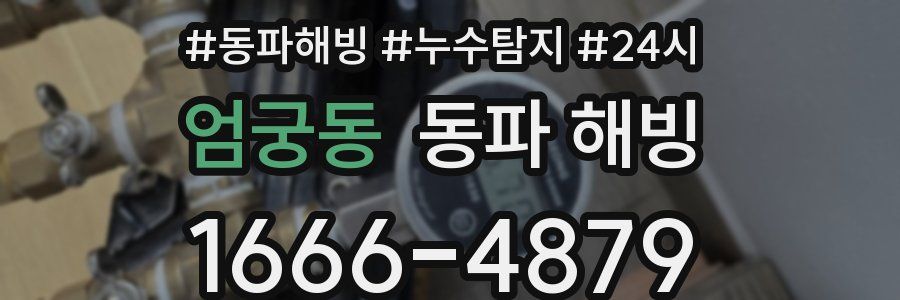 엄궁동 동파