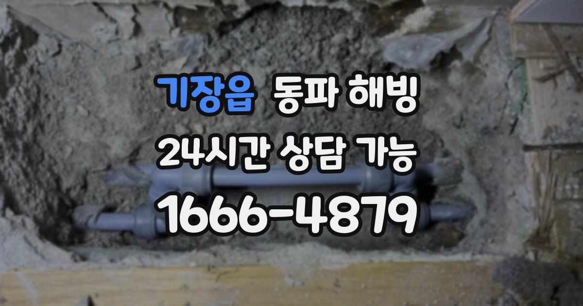 기장읍 동파 해빙