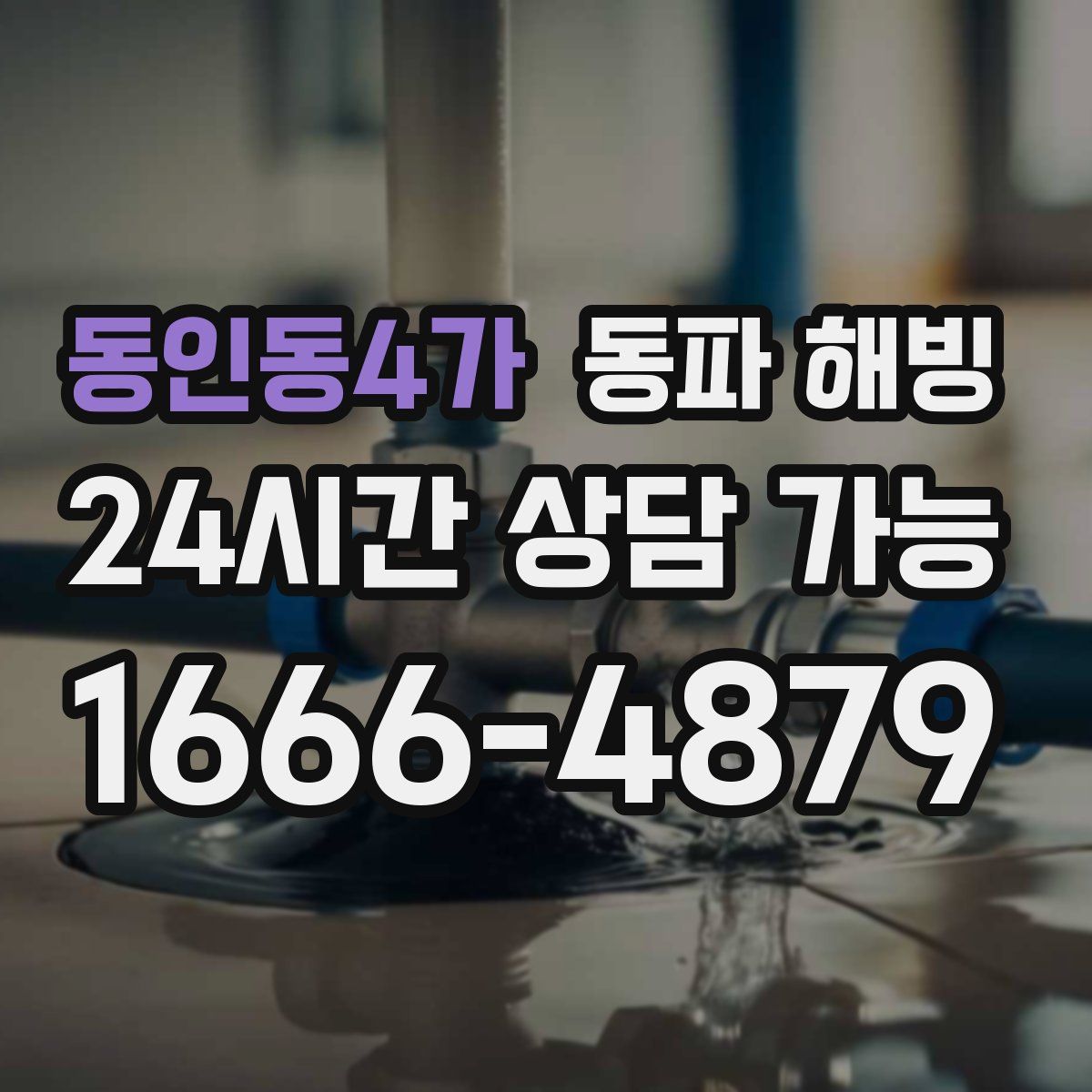 동인동4가 해빙