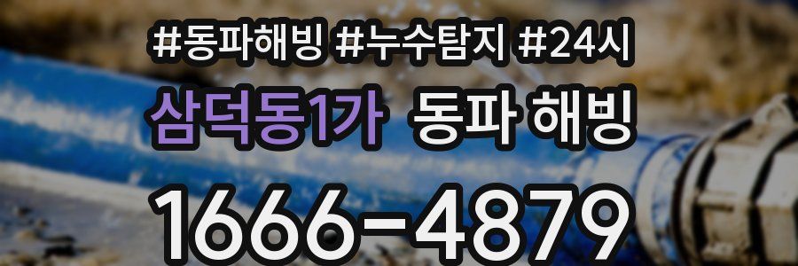 삼덕동1가 동파