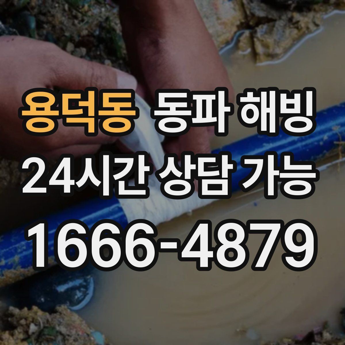 용덕동 동파 해빙 마당 수도 결빙 증상별 점검