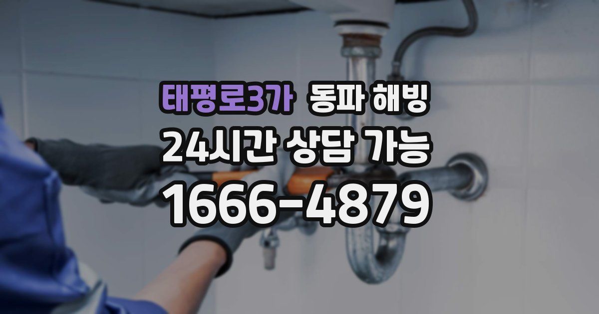 태평로3가 동파 해빙