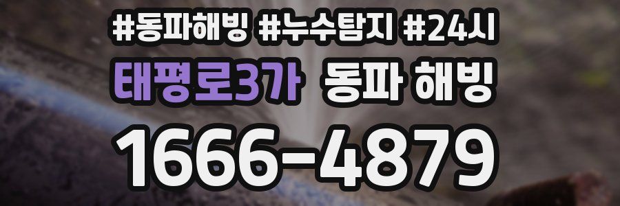 태평로3가 동파