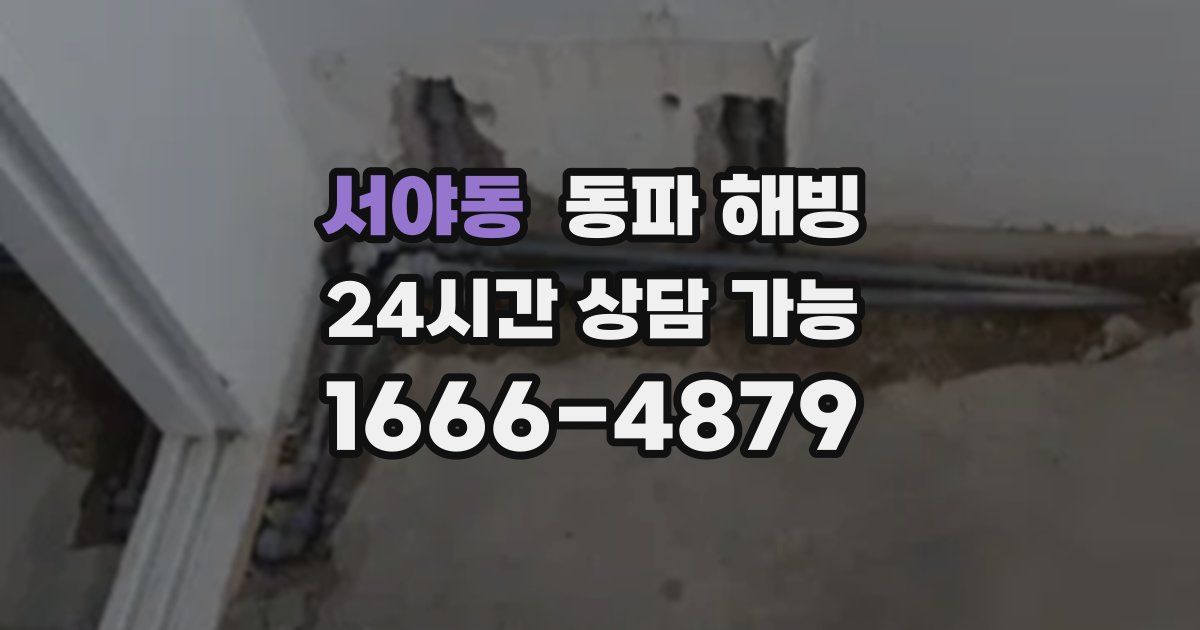 서야동 동파 해빙