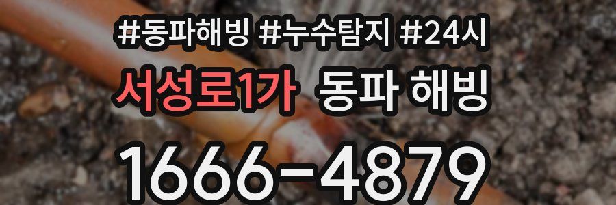 서성로1가 동파