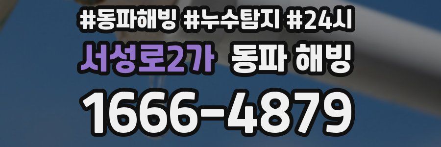 서성로2가 동파