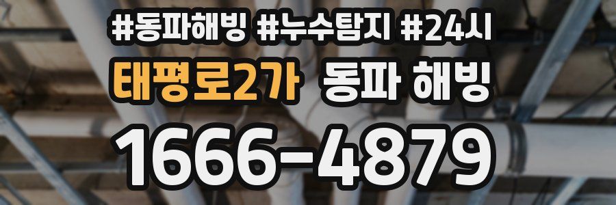 태평로2가 동파