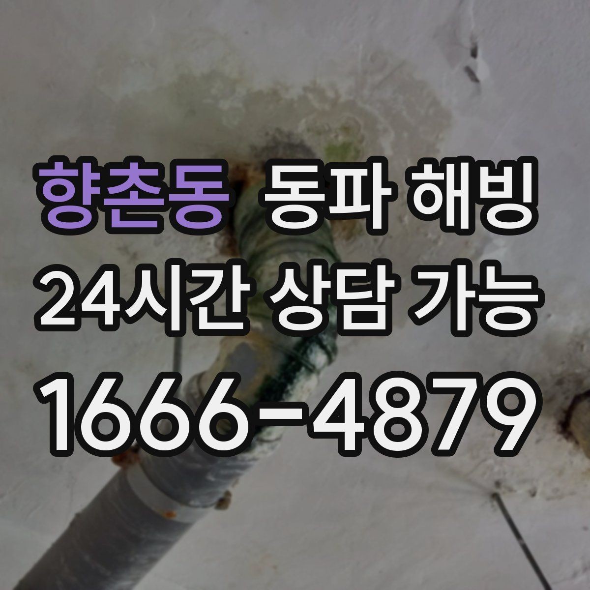 향촌동 동파 해빙 결빙 의심될 때 먼저 해야 할 체크