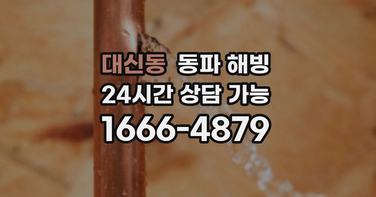 대신동 동파 해빙