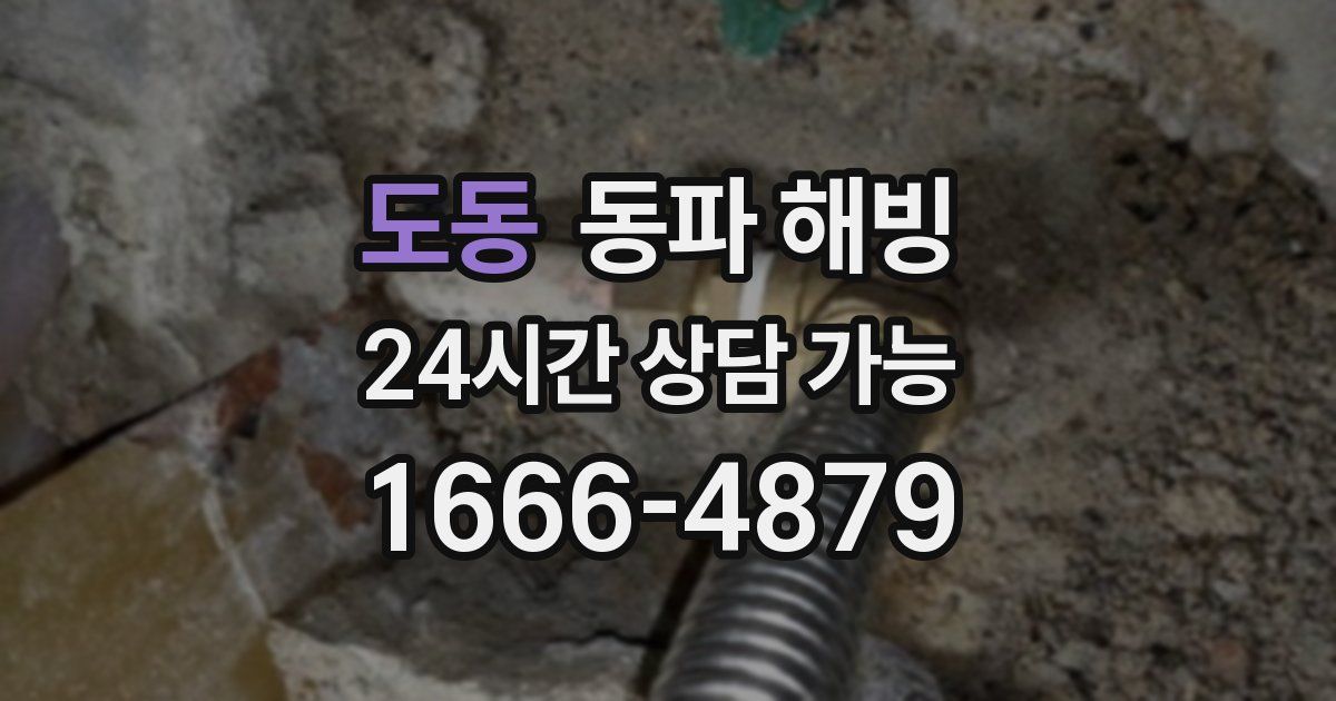 도동 동파 해빙