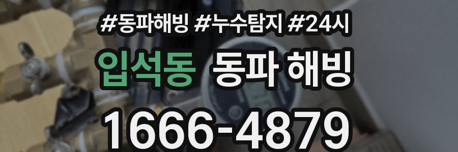 입석동 동파