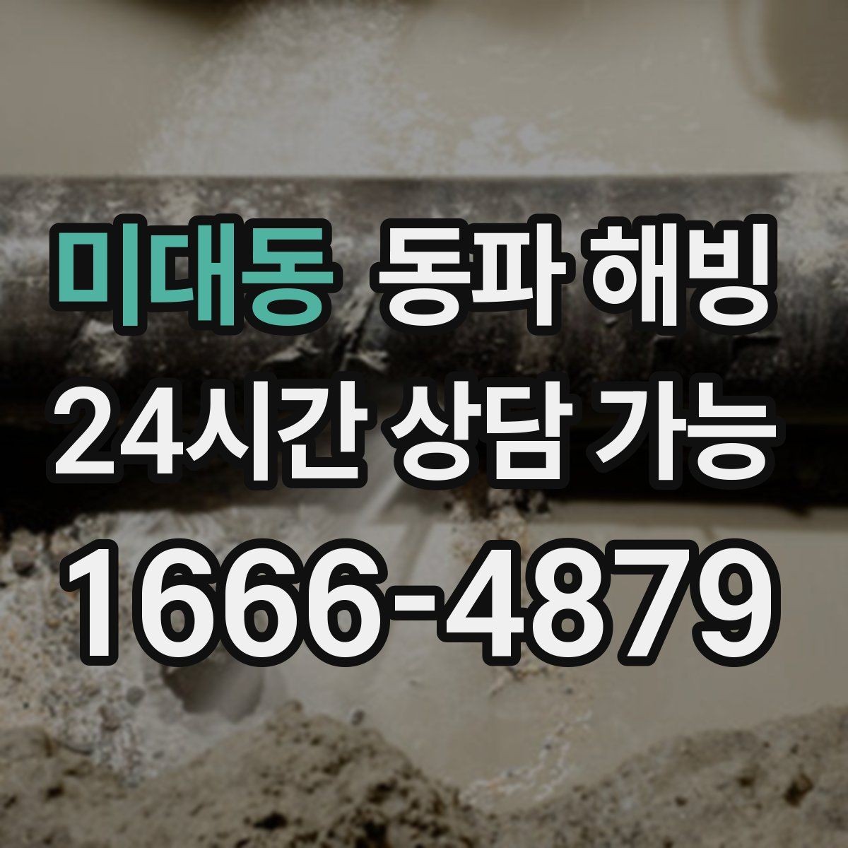 미대동 동파 해빙 카페 오픈 전 급수 막힘 해결 포인트