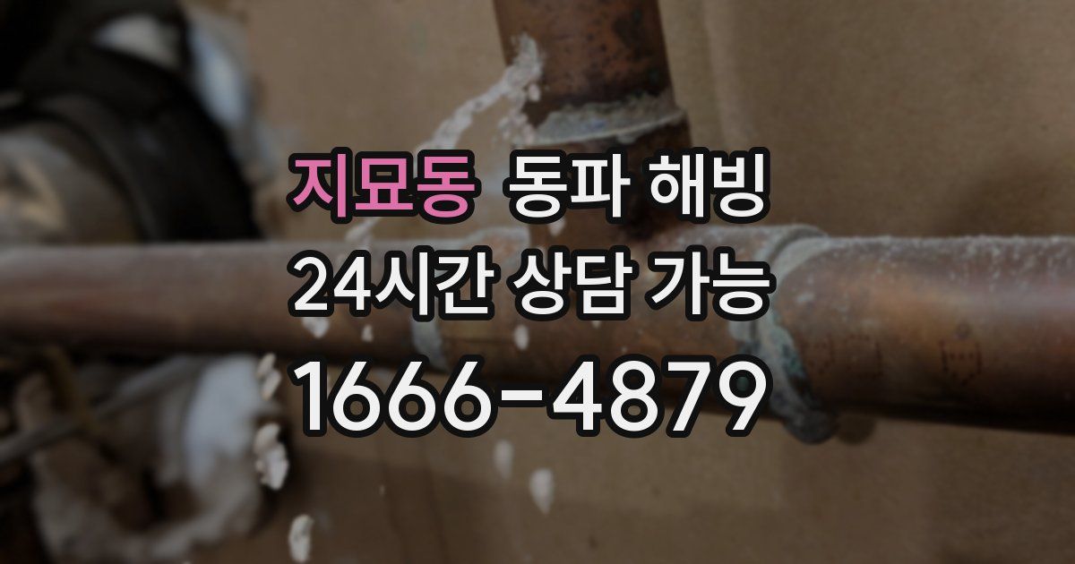 지묘동 동파 해빙