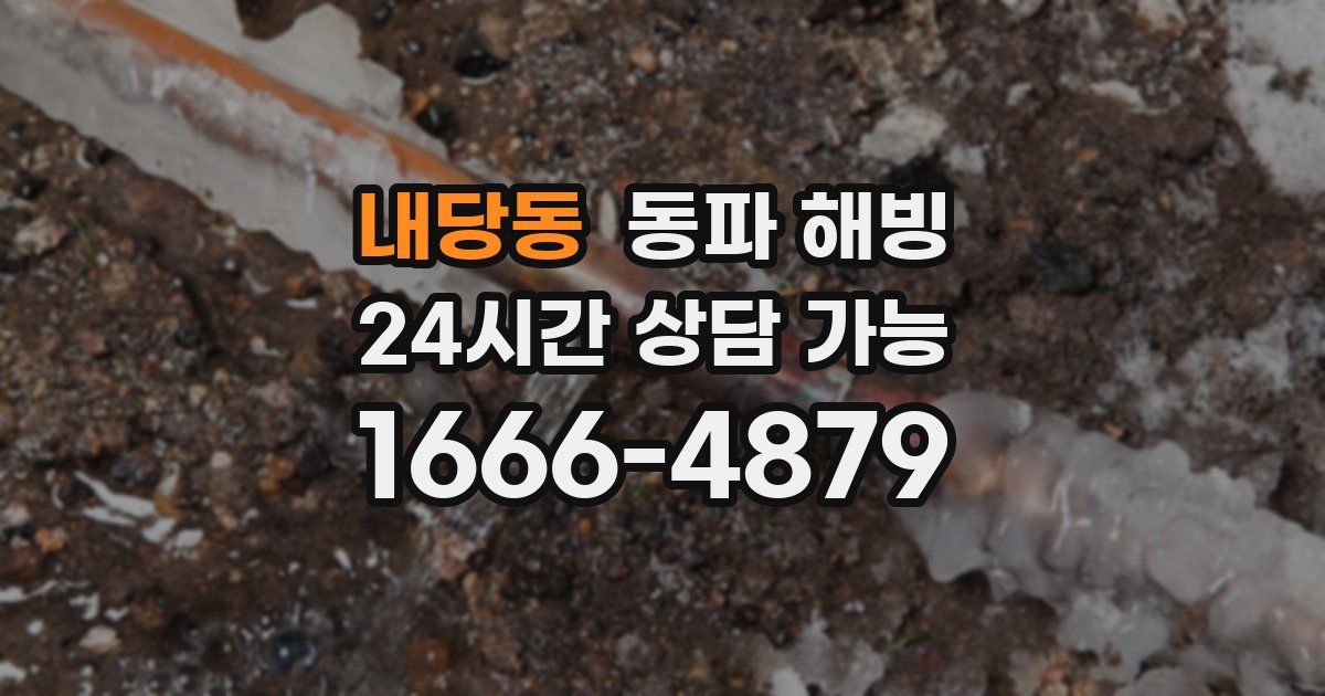 내당동 동파 해빙