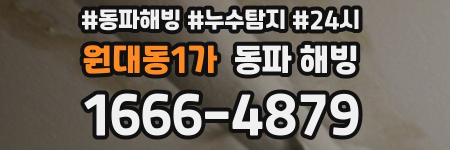 원대동1가 동파