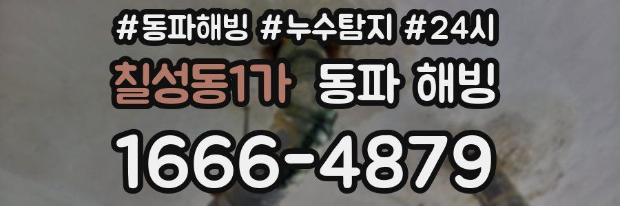 칠성동1가 동파