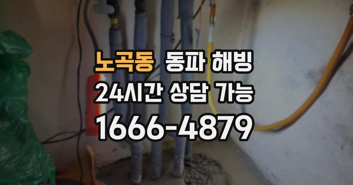 노곡동 동파 해빙