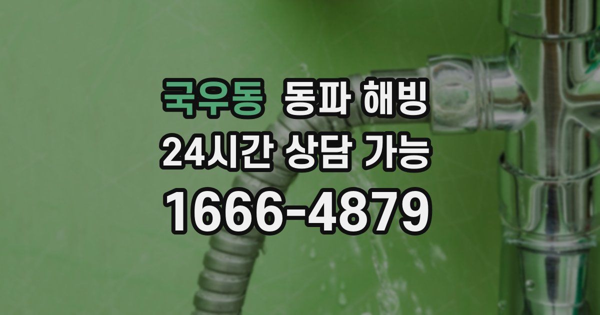 국우동 동파 해빙