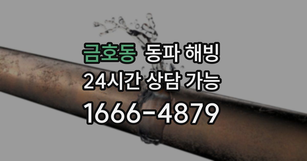 금호동 동파 해빙