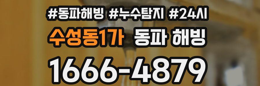 수성동1가 동파