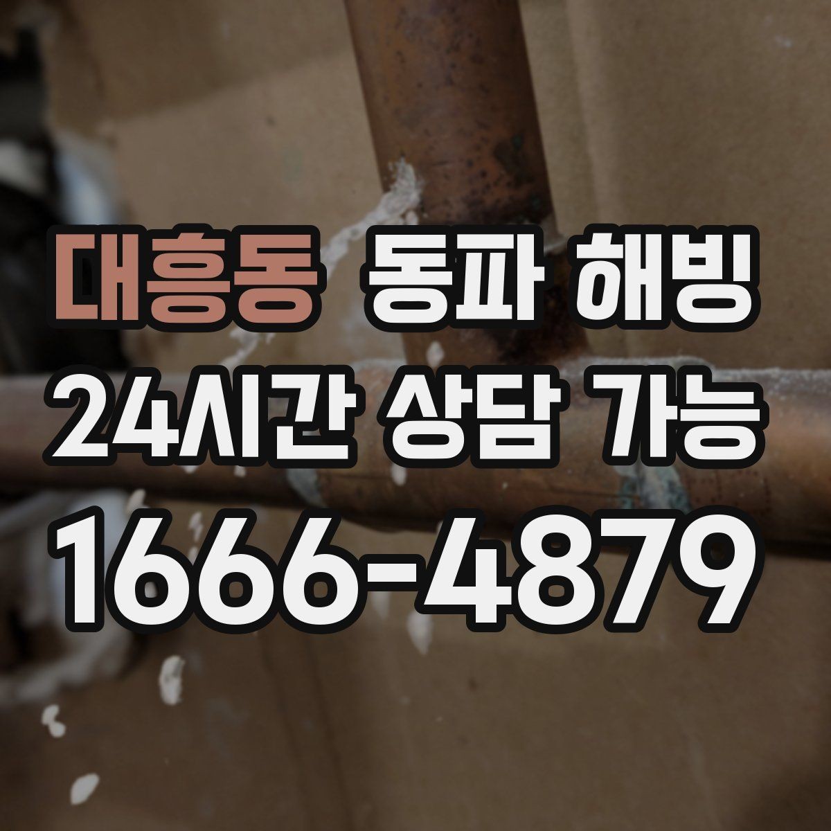 대흥동 동파 해빙 결빙 구간을 빠르게 좁히는 실전 팁