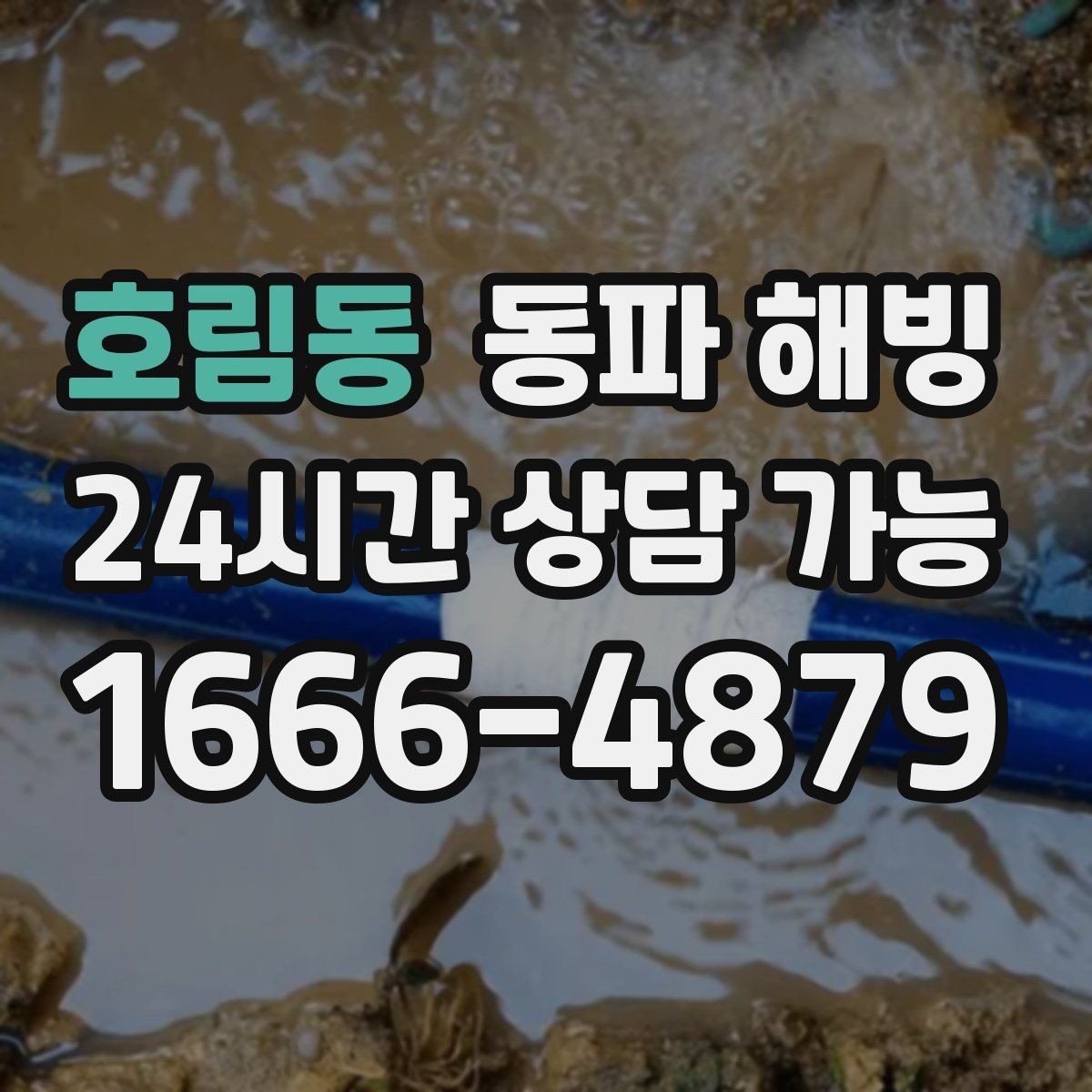 호림동 동파 해빙 마당 수도 결빙이 반복될 때 점검 포인트