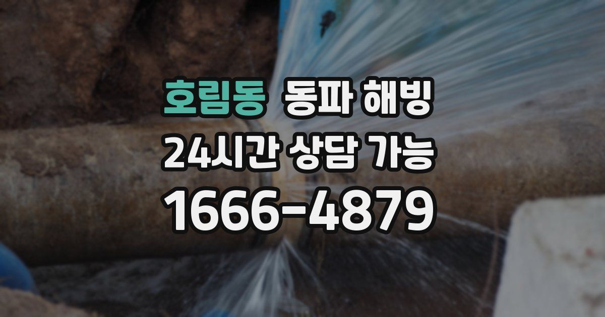 호림동 동파 해빙