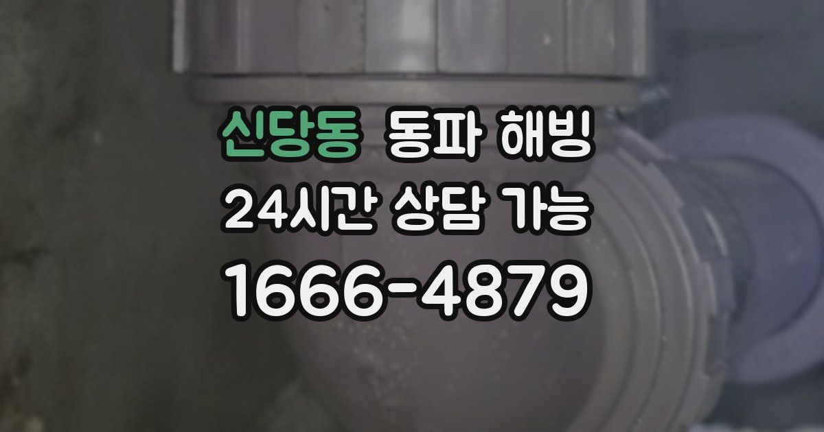 신당동 동파 해빙