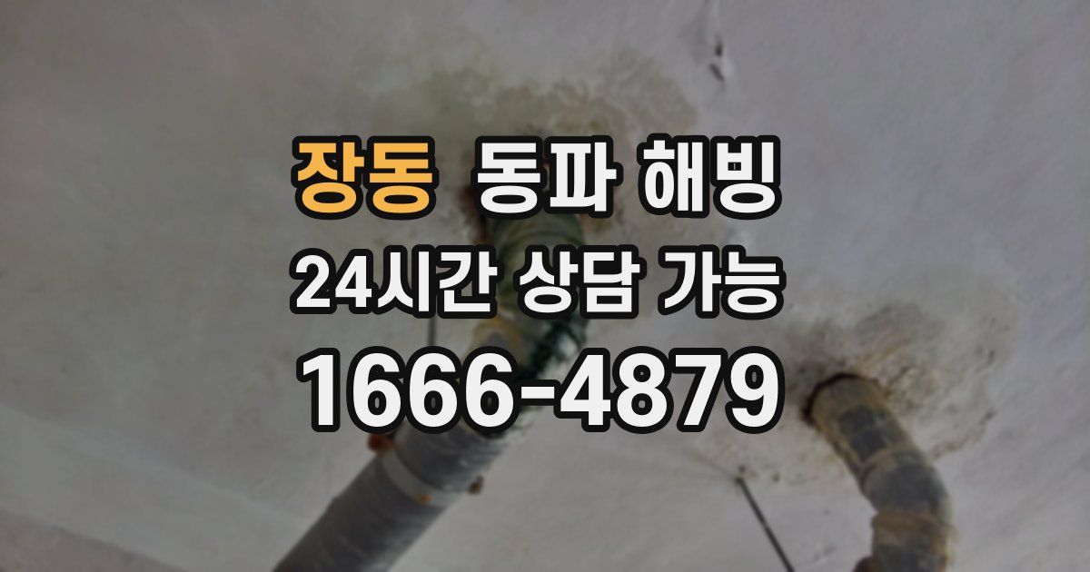 장동 동파 해빙