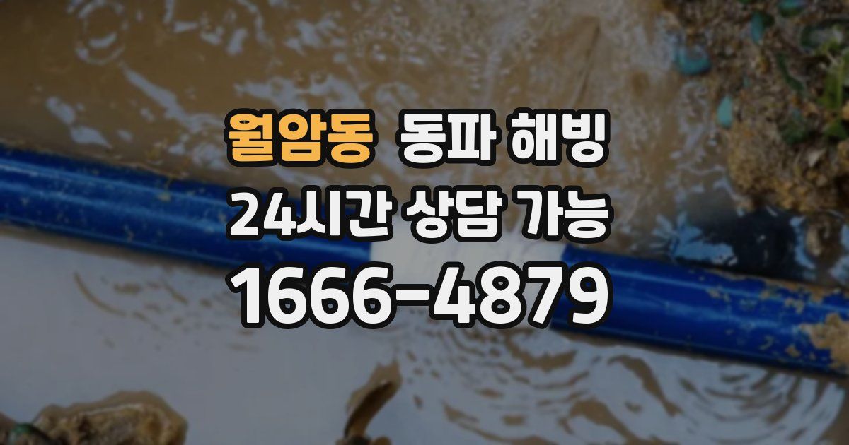 월암동 동파 해빙