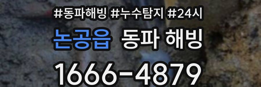 논공읍 동파