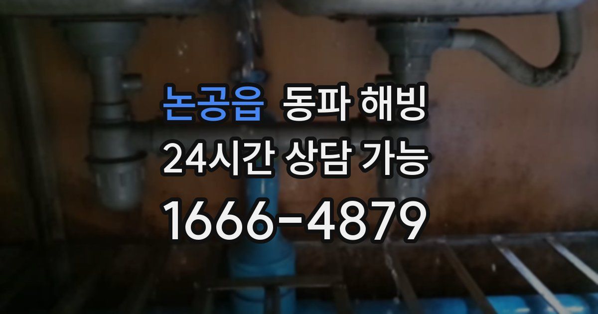 논공읍 동파 해빙