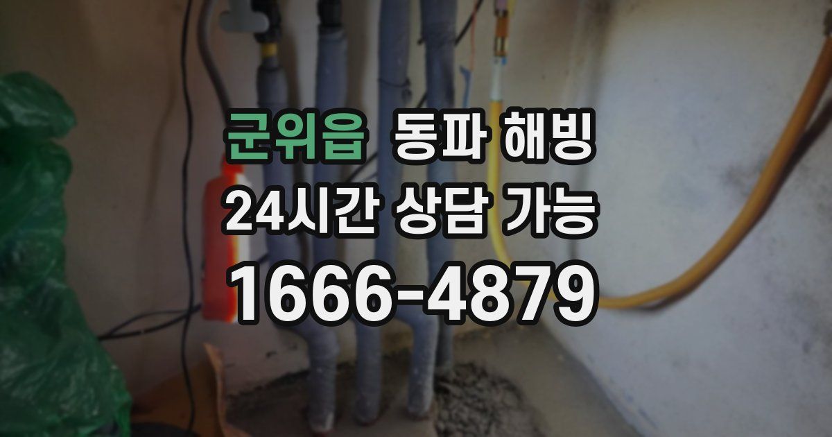 군위읍 동파 해빙