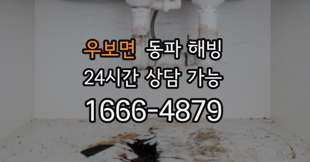 우보면 동파 해빙