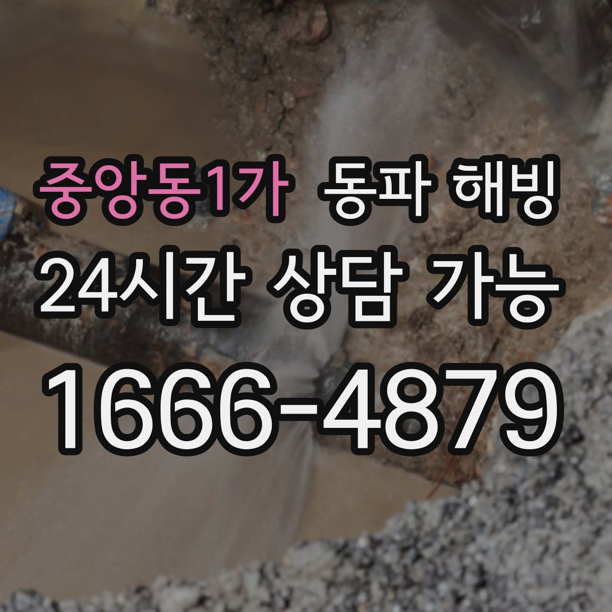 중앙동1가 해빙