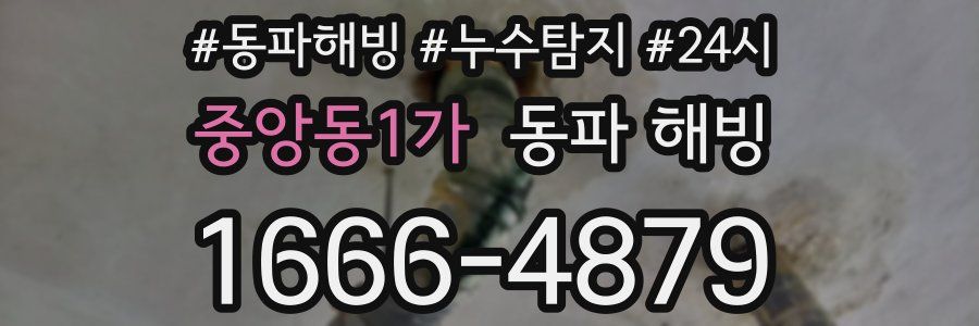 중앙동1가 동파