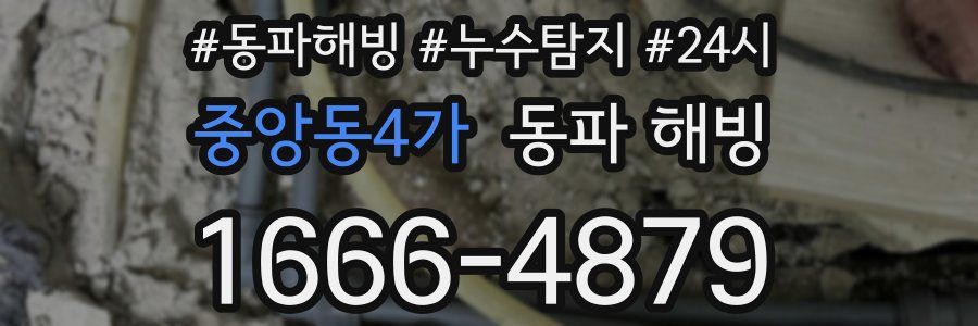 중앙동4가 동파