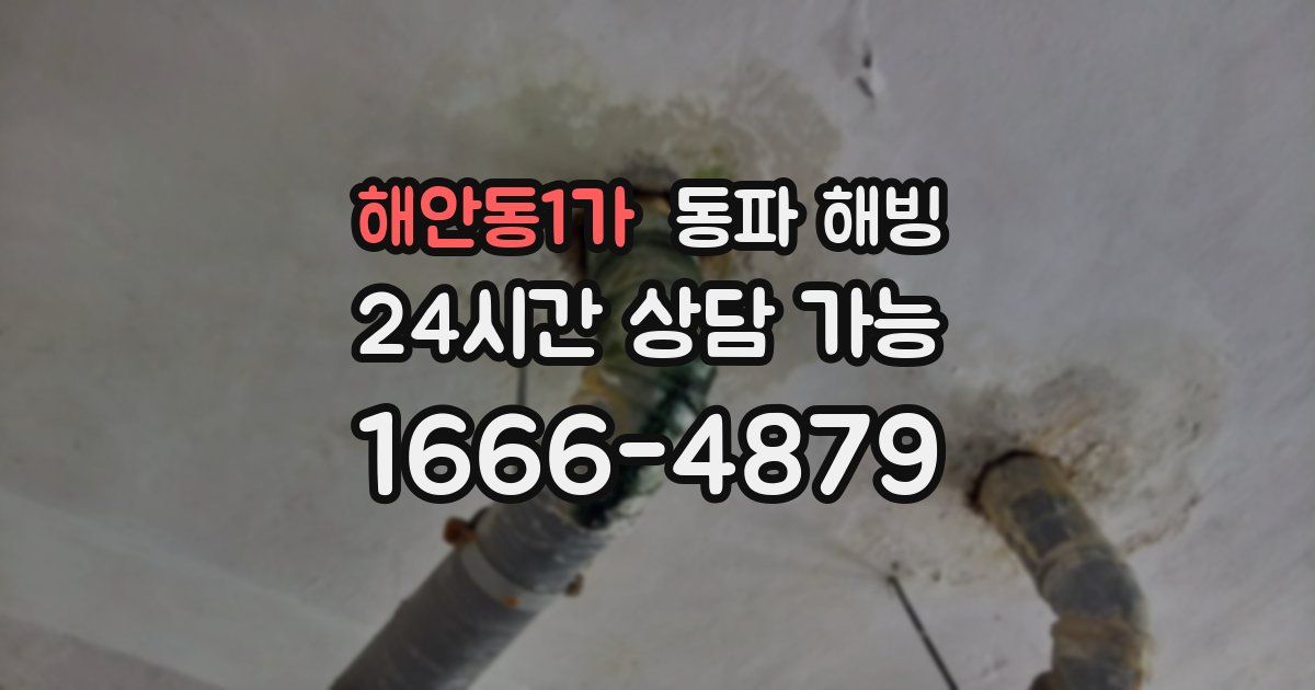 해안동1가 동파 해빙