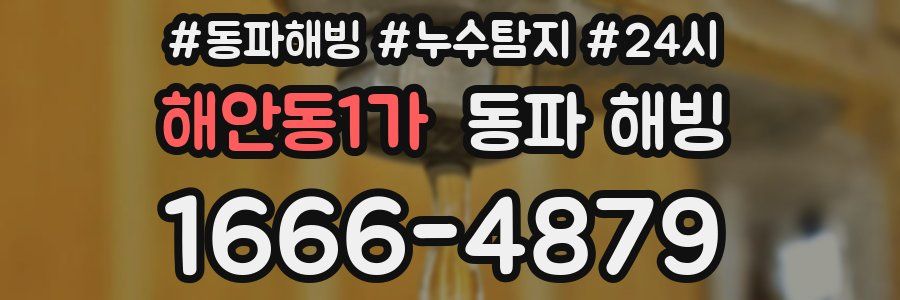 해안동1가 동파