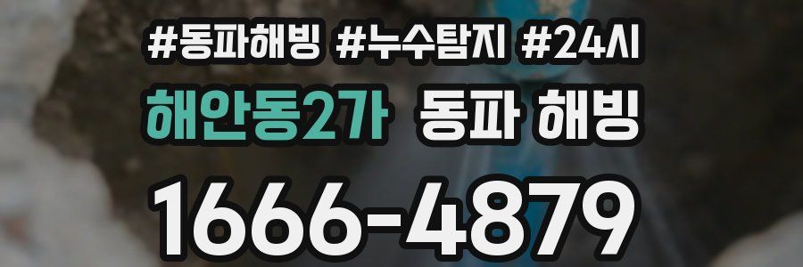 해안동2가 동파