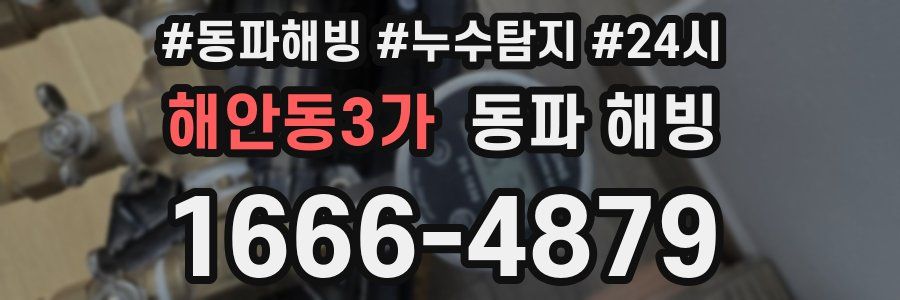 해안동3가 동파