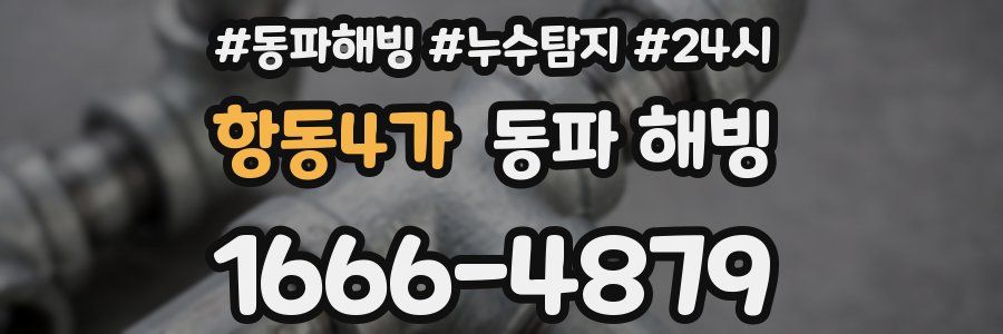 항동4가 동파
