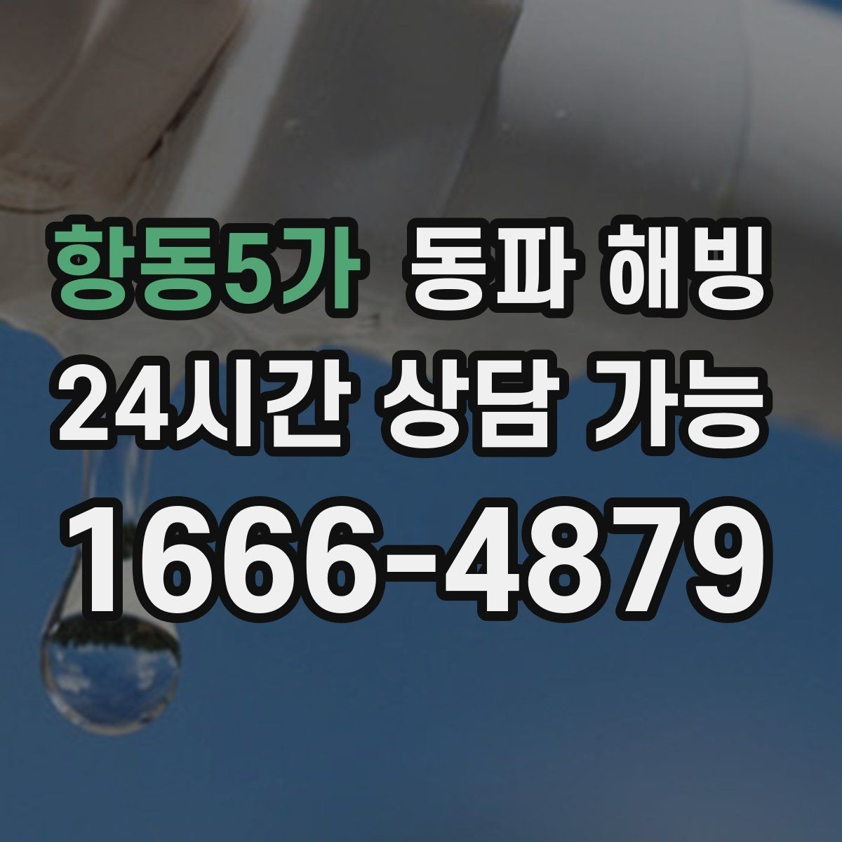 항동5가 동파 해빙 반복 결빙 줄이는 취약 구간 정리
