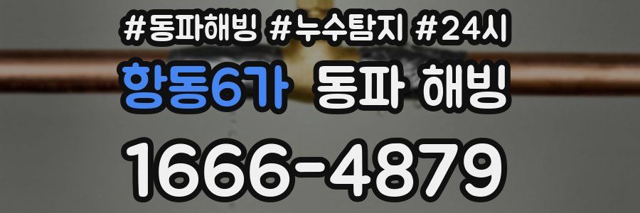 항동6가 동파
