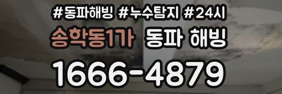 송학동1가 동파