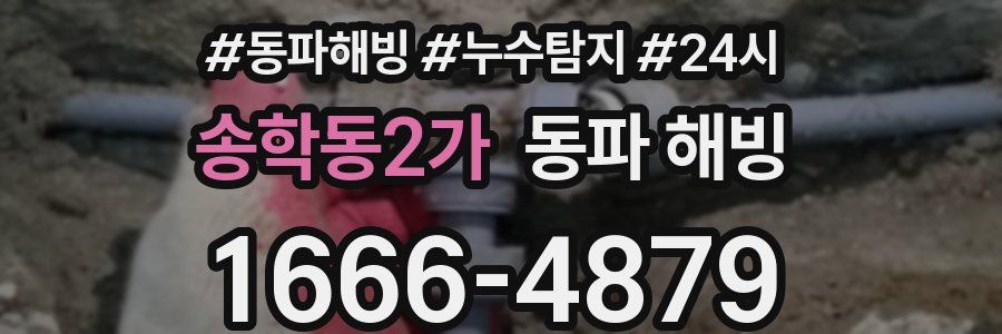 송학동2가 동파